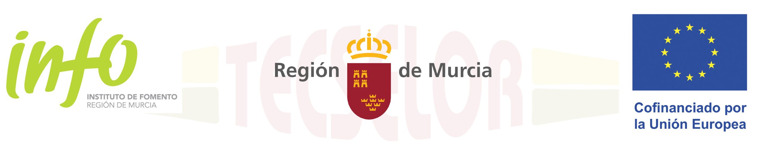 TECSELOR FONDO FEDER